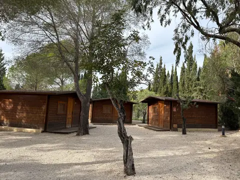 cabañas de madera entre los pinos