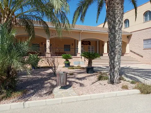 fachada de la casa con las palmeras del jardín