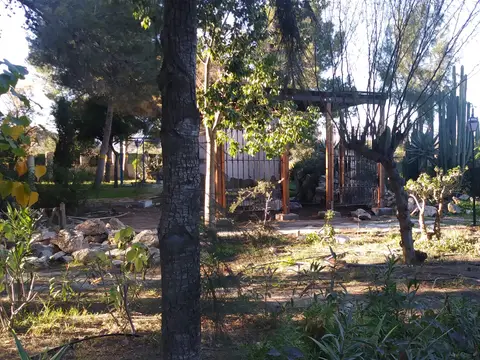 jardin