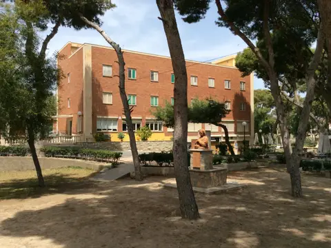 edificio de la residencia entre los pinos de la finca