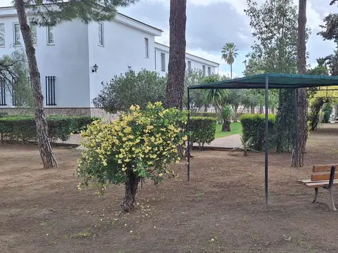 jardín