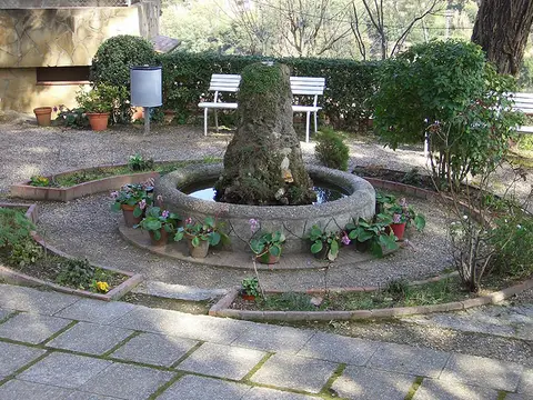 jardin