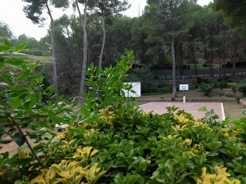 entorno (jardines y zona deportiva)