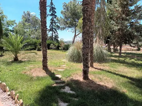 entorno (jardín con palmeras)