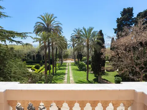 entorno (jardín de palmeras)