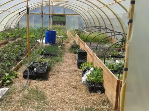 huerto ecológico bajo invernadero