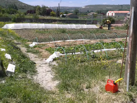 jardin