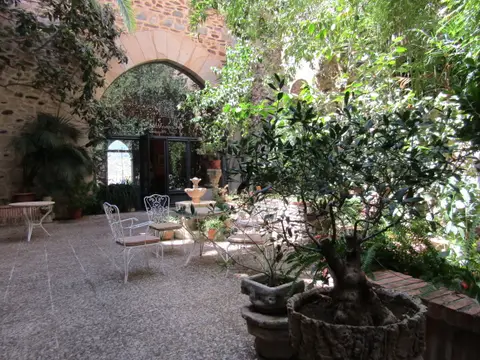 patio ajardinado de la recepción