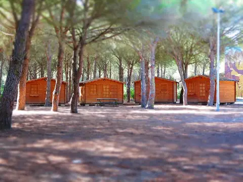 cabanas de madera de Campobosco entre pinos