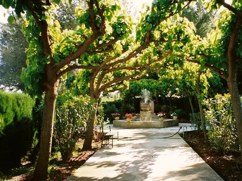 jardin