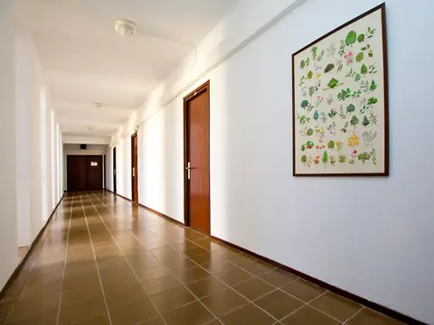 pasillo de habitaciones