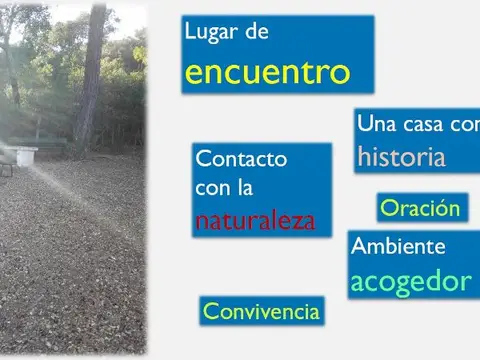 zona arbolada