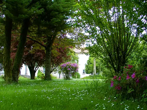 entorno
