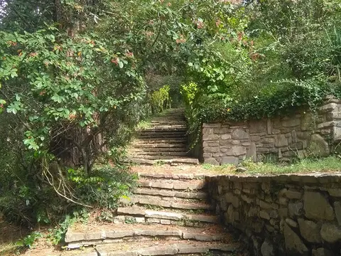 escalinata del jardín