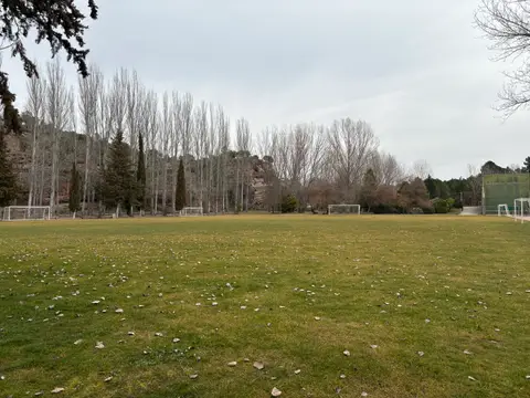 campo de la finca El Oasis, con los pinos y las instalaciones deportivas