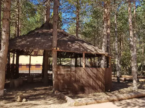 cabana exterior en el pinar de la finca