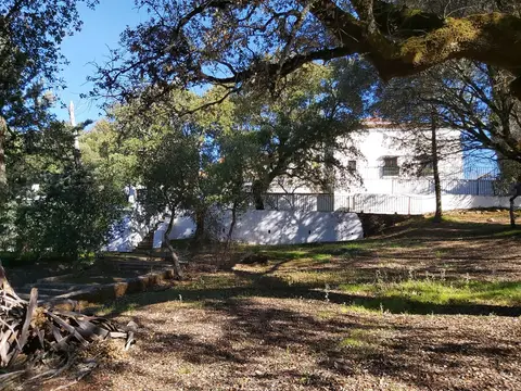 edificio visto desde los jardines