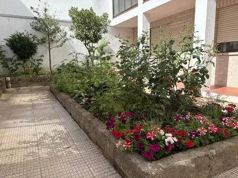 patio ajardinado interior