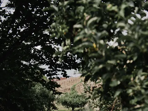 huerta del monasterio