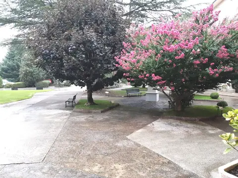 jardín de la casa