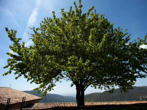 fachada del santuario de Lord