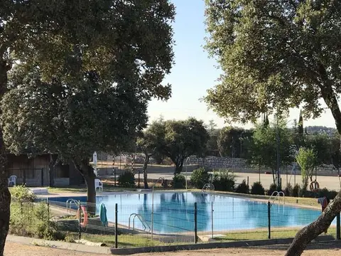 piscina de verano de la finca, con la arboleda alrededor