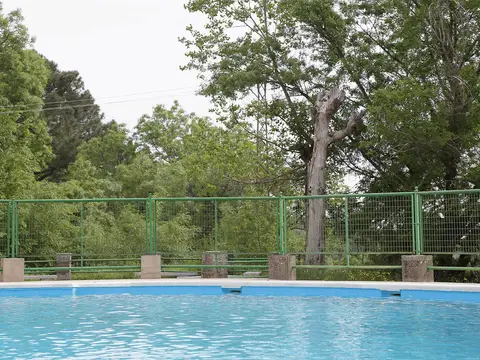 la piscina del recinto, rodeada de arbolado