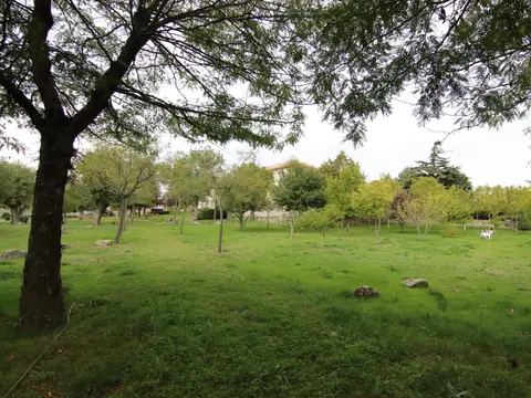 jardín arbolado de la casa