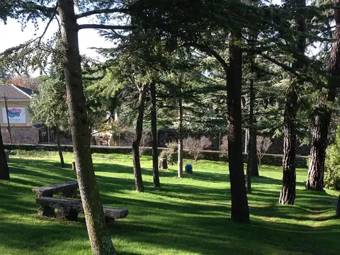 jardín arbolado de la finca, con bancos bajo los pinos