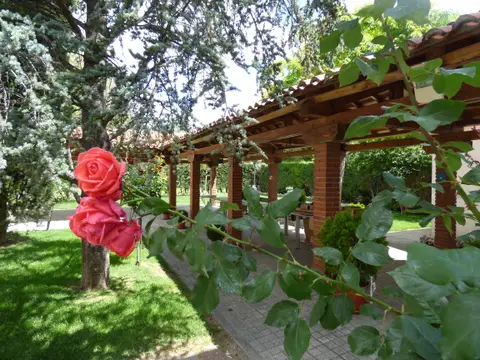 pérgola del jardín con la parra y los rosales