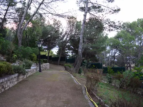 paseo del jardín de la casa, entre los pinos