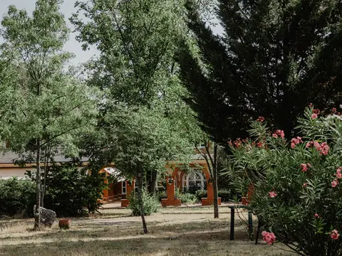 jardin