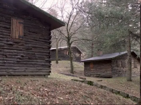 las cabañas de madera de la finca entre los pinos (foto recortada de la página 2 del folleto oficial de la casa)