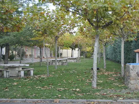 jardín de la casa con las mesas de piedra bajo los árboles