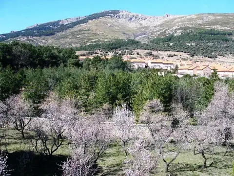 entorno
