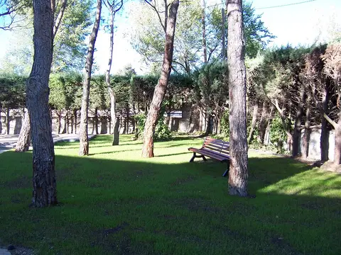 el jardín arbolado de la finca, con los bancos entre los pinos