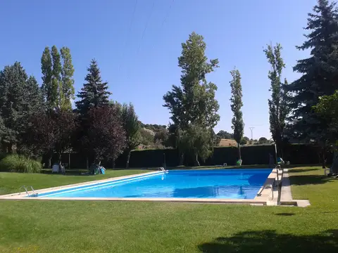 la piscina de la finca, con el césped y los chopos