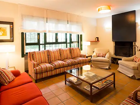 salón de estar con sofás, chimenea y televisión