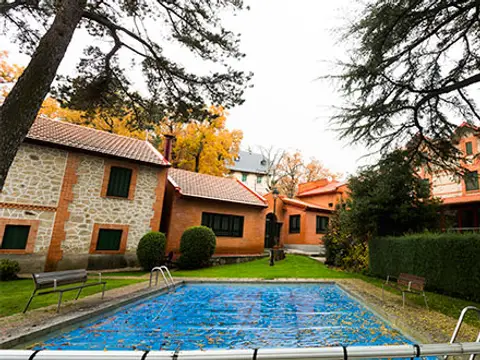 la piscina exterior de la casa, con el seto y los cedros