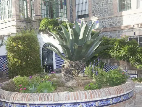 jardines