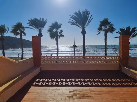 vista desde la terraza (entorno, playa)