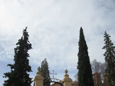 entrada