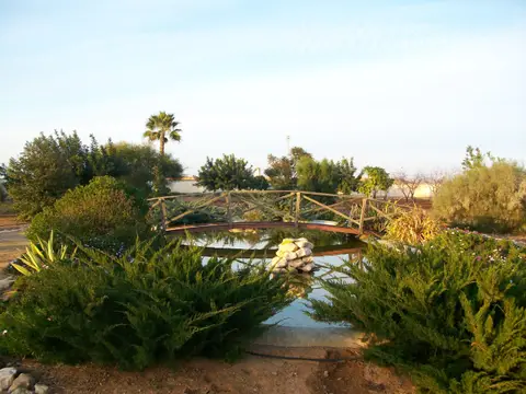 huerta / jardín