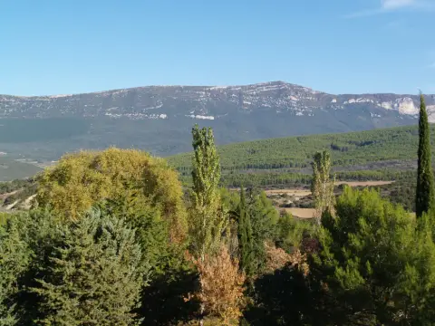 entorno (paisaje)