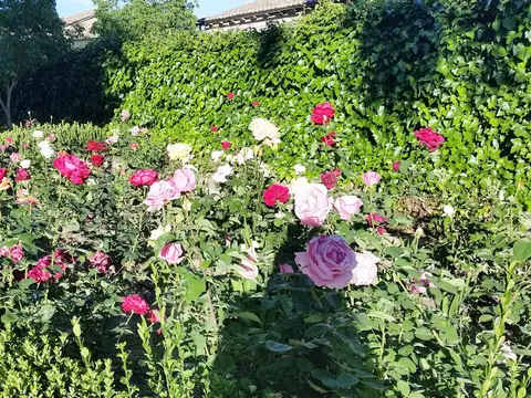 jardines