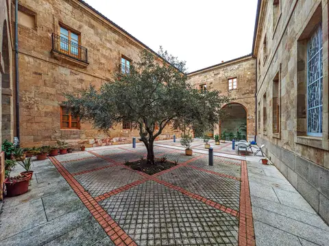 patio interior de piedra de la casa, con el olivo en el centro