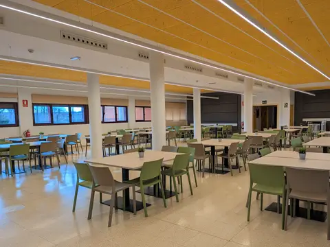 comedor del colegio mayor, con las mesas y el techo de madera