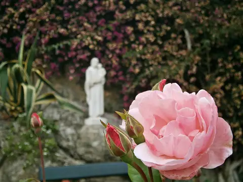 entorno (jardín con rosal y estatua)