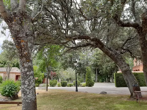 el arbolado y los paseos de la finca
