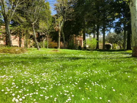 la pradera del jardín con la casa al fondo